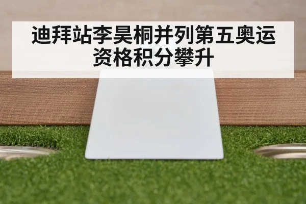 迪拜站李昊桐并列第五奥运资格积分攀升