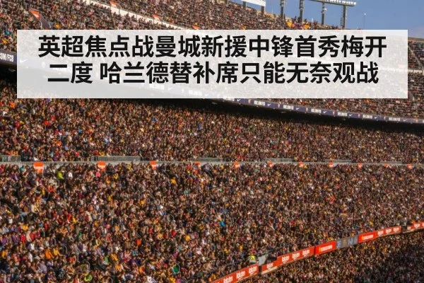 football stadium crowd